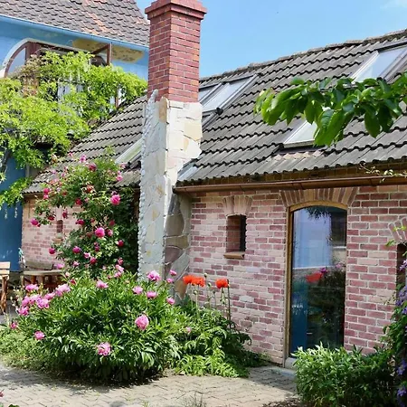 ホテル Boutique Shambala Zeitlos ヴィーデマール